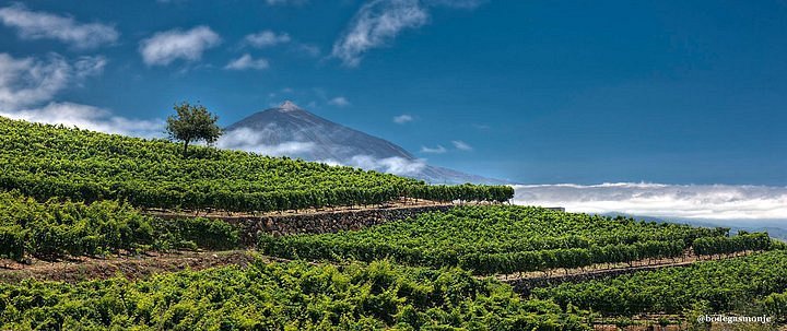Bodegas Monje