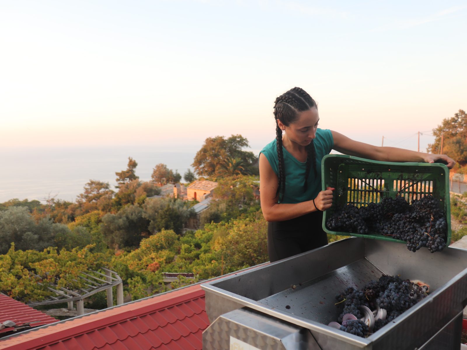 Karimalis Winery