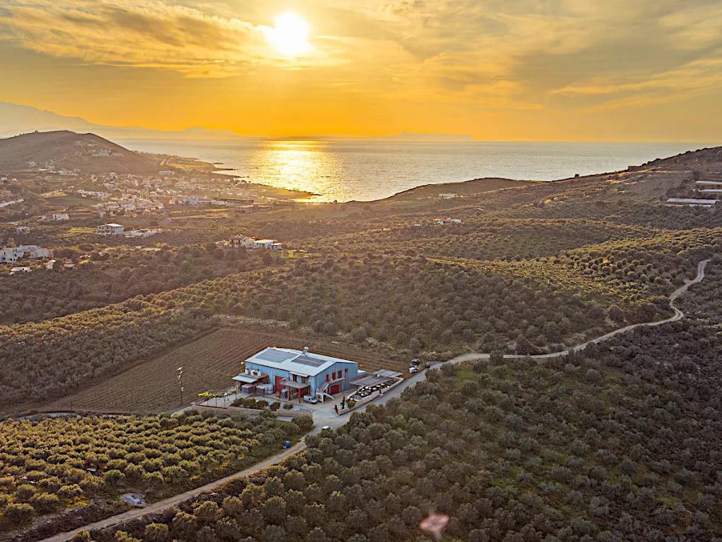 Klados Winery
