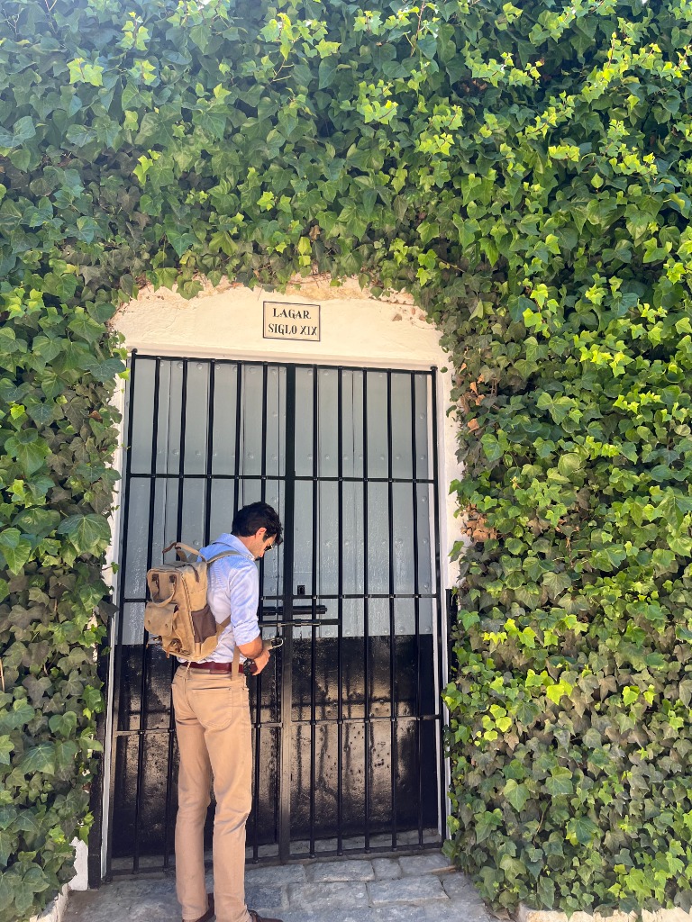 Bodegas Salado